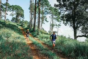 BIB: 
                            <button type="button" onclick="openModal(25676210)" class="btn btn-primary btn-sm float-right btn-popup" data-toggle="modal" data-target=".modal-high-quality">
                        <i class="fas fa-shopping-cart"></i> Add to Cart
                    </button>
                                            <button type="button" onclick="isThisMe(25676210, true)" class="btn btn-success btn-sm float-right btn-popup btn-isme hidden" data-toggle="tooltip" data-placement="bottom" title="นี่คือรูปของคุณใช่ไหม คลิกที่นี่เพื่อเอาเข้าอัลบั้ม">
                        <i class="fas fa-plus"></i> Add to album
                    </button>
                    <button type="button" onclick="isThisMe(25676210, false)" class="btn btn-warning btn-sm float-right btn-popup btn-isnotme hidden">
                        <i class="fas fa-ban"></i> Remove from album
                    </button>